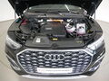Fahrzeug Bild Audi Q5 Sportback 55 TFSI e quattro S tro. S line MATRIX AHK virt. Cock. 17
