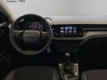 Fahrzeug Bild Skoda Fabia (SHZ.PDC.DAB) 1.0 TSI 9