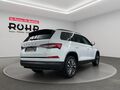 Fahrzeug Bild Skoda Kodiaq Ambition (AHK.Kamera.Pano) 2.0 TDI DSG 4x4 4