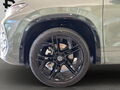 Fahrzeug Bild Volkswagen Tayron R-line 2.0 TSI 4M 13