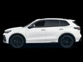 Fahrzeug Bild VW Tiguan R-Line 2.0 TDI DSG 4Motion 12