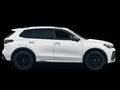 Fahrzeug Bild VW Tiguan R-Line 2.0 TDI DSG 4Motion 13