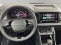 Fahrzeug Bild Skoda Karoq Selection 1.5 TSI DSG 10
