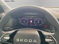 Fahrzeug Bild Skoda Karoq Sportline 2.0 TDI DSG 4x4 (Garantie 02/2031.Navi.ACC.CANTON.Matrix.Kamera) 13
