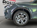 Fahrzeug Bild Cupra Formentor 1.5 eTSI DSG (LED.DAB.Navi.Kamera) 15