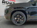 Fahrzeug Bild VW Tayron R-Line 1.5 l eHybrid OPF / 85 kW (115 PS) 6-Gang-Doppelkupplungsgetriebe DSG 13