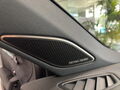 Fahrzeug Bild VW Tayron R-Line (WR/AHK/BlackStyle) 2.0 l TSI 4MOTION 7-Gang-DSG 19