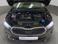 Fahrzeug Bild Skoda Fabia Selection 130 Jahre 1.0 TSI (Garantie 08/2030.LED.DAB.EPH.GRA.SHZ) 16