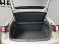 Fahrzeug Bild VW Taigo 1.0 Life TSI DSG 8
