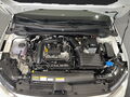 Fahrzeug Bild VW Polo EDITION 50 1.0 l TSI  DSG 16