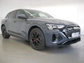 Fahrzeug Bild Audi Q8 e-tron 55  quattro S line MATRIX AHK PANO 2