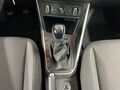 Fahrzeug Bild VW Polo 1.0 TSI 13