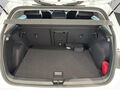 Fahrzeug Bild VW Golf VIII Energy (WR/LED/Infotainment) 1.5 l eTSI  7-Gang-DSG 8