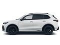 Fahrzeug Bild Volkswagen Tiguan R-Line 1.5l eTSI DSG 2