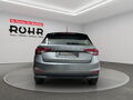 Fahrzeug Bild Skoda Fabia Selection 1.5 TSI 5