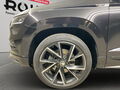 Fahrzeug Bild Skoda Karoq Sportline (Canton.Side Assist.Navi) 2.0l TSI DSG 4x4 14
