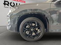 Fahrzeug Bild VW Tayron R-Line (WR/AHK/BlackStyle) 2.0 l TSI 4MOTION 7-Gang-DSG 14
