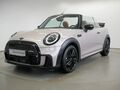 Fahrzeug Bild MINI John Cooper Works Trim LED NAVI PDC GRA SHZ 19