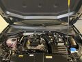 Fahrzeug Bild VW T-Roc Life People Edition (Garantie 10/2027.Kamera.SHZ.ACC.LED) 1.0 TSI BMT 18