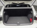 Fahrzeug Bild VW Golf VIII GTD 2.0 TDI DSG (Kamera.Pano.Navi.ACC.AHK.FrontAssist.LED.DAB+.SHZ) 9