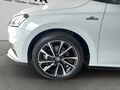 Fahrzeug Bild Skoda Fabia Monte Carlo (SHZ.PDC.LED.GRA) 1.5 TSI DSG 14