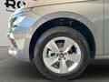 Fahrzeug Bild Skoda Kamiq (PDC.AHK.SHZ.GRA.DAB) 1.0 TSI DSG 14