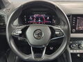 Fahrzeug Bild Skoda Karoq Sportline 2.0 TSI 11