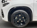 Fahrzeug Bild VW Tayron R-Line (Garantie07.2030.AHK.Pano) 2.0 TDI DSG 4M 14