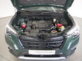 Fahrzeug Bild Subaru Forester 2.0ie Mild-Hybrid Platinum 18