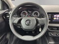 Fahrzeug Bild Skoda Fabia Active 1.0 MPI 11
