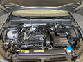Fahrzeug Bild VW Golf VIII Life (SHZ.Head-Up.AHK.PDC.ACC.DAB) 1.5 l eTSI DSG 15