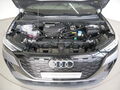 Fahrzeug Bild Audi Q4 50 e-tron quattro S line MATRIX AHK PANO 18