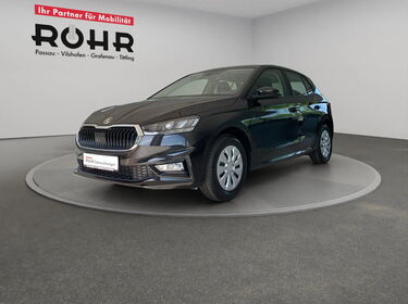 Fahrzeug Bild Skoda Fabia (SHZ.PDC.DAB) 1.0 TSI