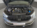 Fahrzeug Bild Skoda Kamiq Monte Carlo 1.5 TSI DSG 15