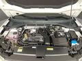 Fahrzeug Bild VW T-Roc R-Line (AHK.NAVI.SHZ.PDC.DAB) 1.5 TSI DSG 15