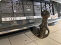 Fahrzeug Bild Volkswagen Golf VIII Life Energy 1.5 eTSI DSG 23