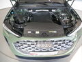 Fahrzeug Bild Audi Q5 Sportback TFSI S line 18