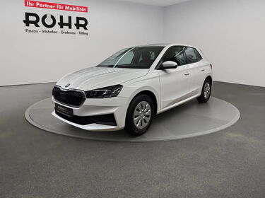 Fahrzeug Bild Skoda Fabia Active 1.0 MPI