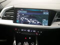 Fahrzeug Bild Audi Q4 45 e-tron quattro 10