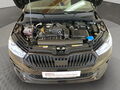 Fahrzeug Bild Skoda Fabia 130 Edition 1.5 TSI 15