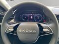 Fahrzeug Bild Skoda Kamiq (AHK.LED.PDC.GRA.SHZ) Selection 1.5 TSI DSG 130 Jahre Premium 13