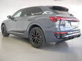Fahrzeug Bild Audi Q8 e-tron 55  quattro S line MATRIX AHK PANO 4