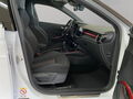 Fahrzeug Bild Skoda Fabia Monte Carlo 1.0 TSI 6