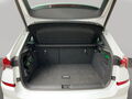Fahrzeug Bild Skoda Kamiq Monte Carlo 1.5 TSI 8