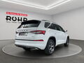 Fahrzeug Bild Skoda Kodiaq Sportline (AHK.Navi.Kamera.Stdhzg..Park Assist) 2.0 TDI DSG 4x4 4