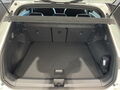 Fahrzeug Bild VW T-Roc R-Line (WR/BlackStyle/IQ.Light) 1.5 l eTSI 7-Gang-DSG 8