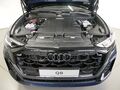 Fahrzeug Bild Audi Q8 SUV TDI quattro 210 kW tiptronic 18