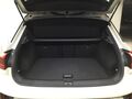Fahrzeug Bild VW T-Roc R-line (Allrad.AHK.Rear View) 2.0 TDI DSG 4motion 15