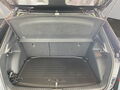 Fahrzeug Bild Skoda Fabia Monte Carlo 1.5 TSI DSG 8