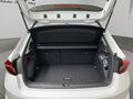 Fahrzeug Bild Skoda Fabia Selection 1.5 TSI 8